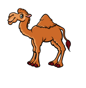 How to draw a cartoon camel