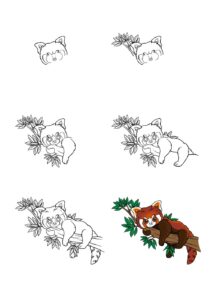 How to Draw a Red Panda A Step-by-Step Manual